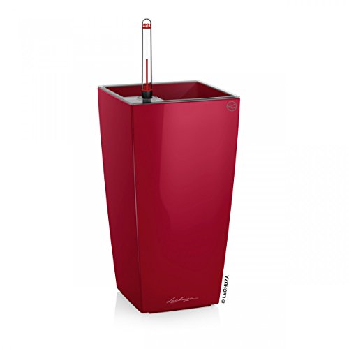 Lechuza – Pot de Fleurs d'Interieur – Maxi–Cubi – Réserve d'Eau Intégrée – Coloris Rouge Scarlet – 14 x 14 x 26 cm