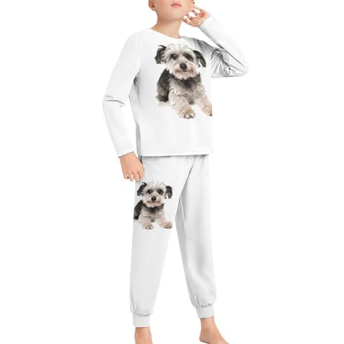 [BFLCWM] pW} LbY 킢 ViEU[  j̎q  Y{ q pW}Zbg ㉺Zbg _炩   JWA [EFA lGʗp 