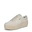 Oyster Beige Grey