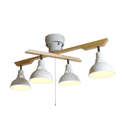 ^LY~ ( TAKIZUMI ) CeA Ɩ V[OCg 4 rO _CjO DN4021RSWH