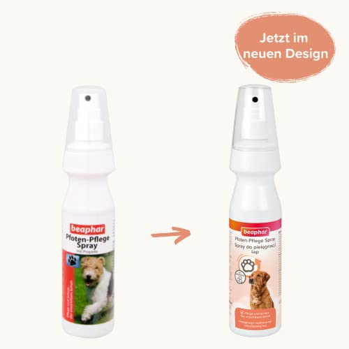 beaphar - Pfoten-Pflege Spray Für Hunde - Schützt Vor EIS, Schnee, Streusalz - Mit Propolis, Glycerin, Teebaumöl - Sanfte Und Geschmeidige Pfoten - Erhöht Die Widerstandsfähigkeit Der Pfoten - 150 ml
