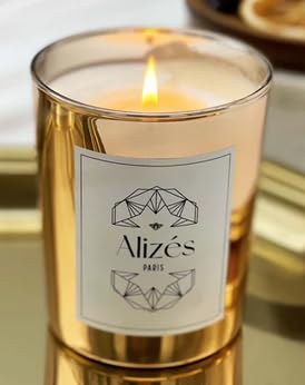 Alizés Paris – Vela perfumada La Parisienne – Fabricado en Francia – Cera de abeja natural – Perfumes de gama alta de grasa ámbar almizcle – Tiempo...
