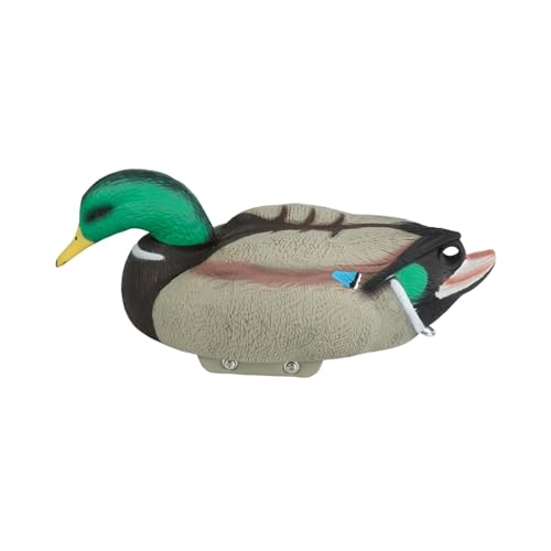 Aymzbd AqfRC  Aq t[^[ fRC y EVA t[eBO A[ 肵\  ͓I ނɍœK K[ffR[V Po, 37cm×15.5cm×16cm