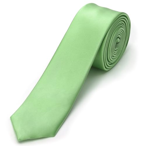 Landisun Sage Green Tie Men Women Solid Skinny Ties Slim Ties Satin Tie