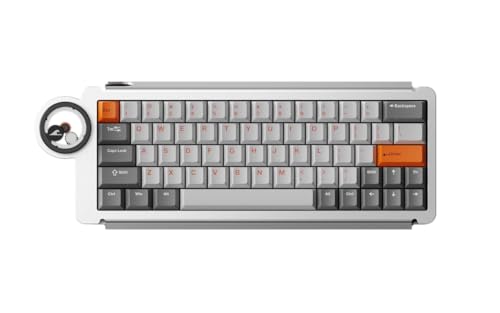 31kqd6riMBL.jpg