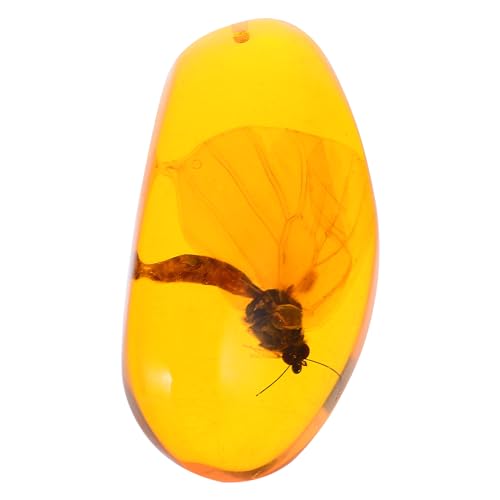 SOLUSTRE Fósil De Ámbar Con Muestras De Piedras Colgantes Ovalados Muestras De Cristal Para Decoración Del Hogar Ciencia Educativa (Patrón Aleatorio)