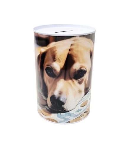 Tirelire Bocal en métal étain non ouvert avec image chien Golden Retriever 13 x 8 cm