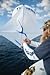 Tigress Premium Helium Balloons for Big Game Kite Fishing - Durable, Eco-Friendly, Complete Set for Shark, Wahoo, Mahi-Mahi, Tuna, and Sailfish