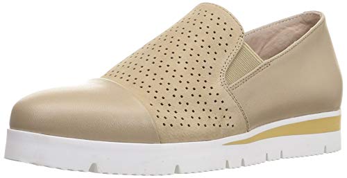 [T@T@] Xj[J[u[c 2420027 fB[X x[W 24.5 cm