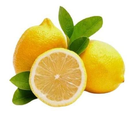 Muda De Limão Siciliano Enxertado Para Produzir Exótico