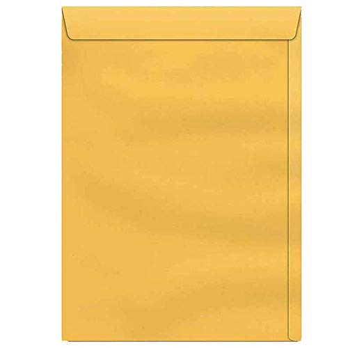 Envelope Saco Kraft Ouro SKO017 110X170 Scrity 250 Unidades