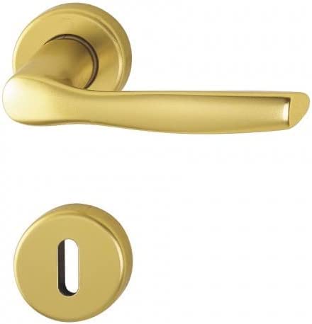 Coppia Maniglia Hoppe per porte interne Milano satinata alluminio moderna (Alluminio Oro)