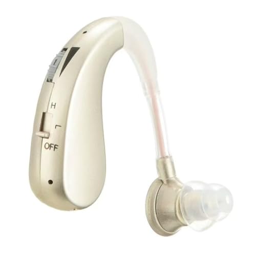 04D Silver Hearing Amplifier