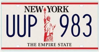 OPO 10 - Placa DE Licencia DE AUTOMÓVIL EE. UU. - Replica en Metal de 30x15 cms: Nueva York (C36)