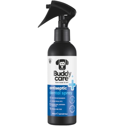 Buddycare Pet Antiseptic Dental Spray Suitable for all pets (200ml) Antiseptic Dog Breath Freshener Spray - Effective Dog Dental Care Solution for dog Smelly Breath Treatment