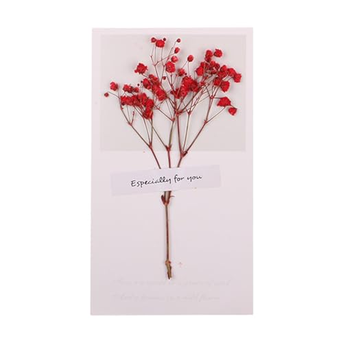  AKTOUR Biglietti Buon Natale Bianco secchi e ciondolo natalizio, design festoso, idea per sentimenti naturali per le vacanze Biglietto Torino (G, 16X9CM)