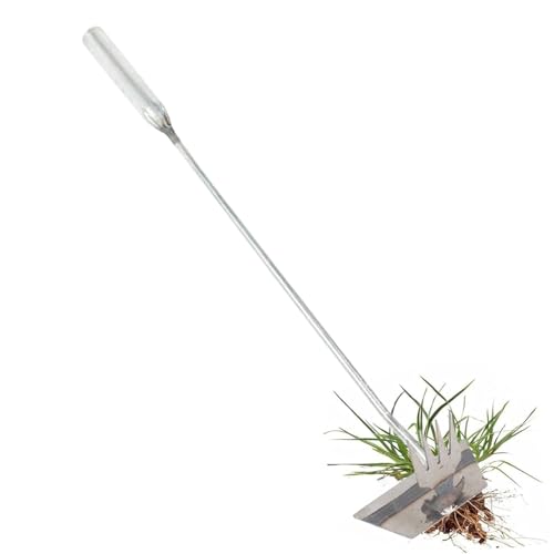 Estirpa ,Robusto 4 Denti Manuale - Acciaio Inossidabile per la Rimozione '| Per Estirpare Cardo Gramigna Ortaggi da Prato Cortile Giardino Giardinieri Adulti