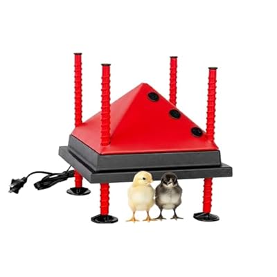 RentACoop 10x10” Adjustable Heating Plate with Bonus Foldable Anti-Roost Cone for up to 15 Chicks | Chick Brooder Heat Plate – Energy-Efficient 15-Watt Chick Heater - Safer Than Heat Lamps