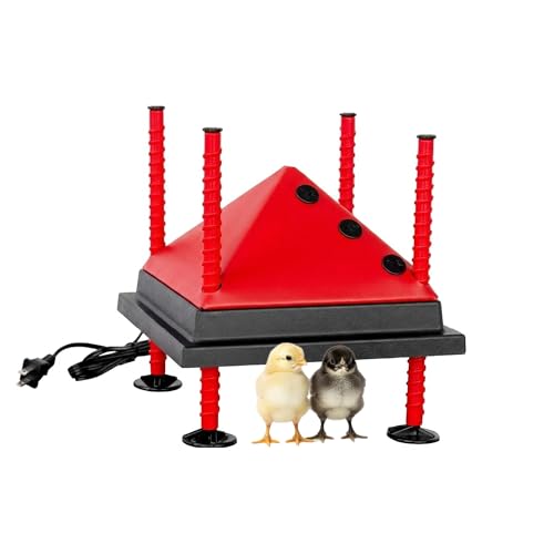 RentACoop 10x10 Adjustable Heating Plate with Bonus Foldable Anti-Roost Cone for up to 15 Chicks | Chick Brooder Heat Plate Energy-Efficient 15-Watt Chick Heater - Safer Than Heat Lamps