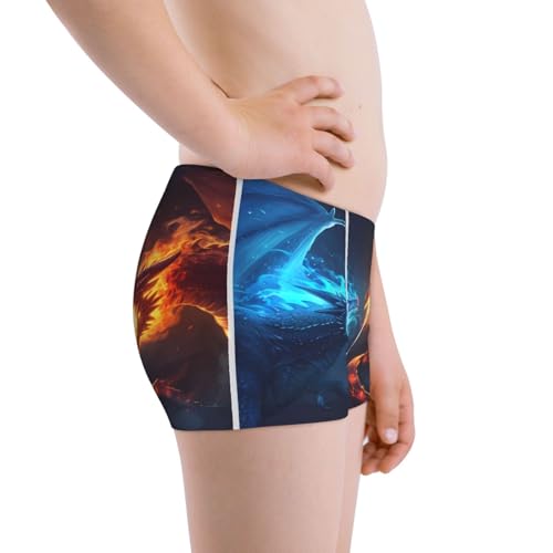 Boys' Cotton Boxer Brief Soft Underwear-Red And Blue Fire Dragon2