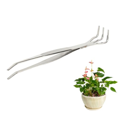 Bonsai Rake, Gardening Rake Stainless Steel Bonsai Tweezers 2 in 1 Lightweight Bonsai Root Rake Loosen Soil Gardening Tool for Patio Lawn Garden Plants Bonsai Rake, Gardening Rake Stainless Steel Bonsai Tweezers 2 in 1 Lightweight Bonsai Root Rake Loosen Soil Gardening Tool for Patio Lawn Garden Plants