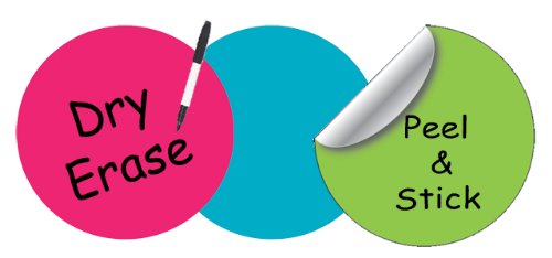 Create-A-Mural : Dry Erase Dot Decals Tropical Colored