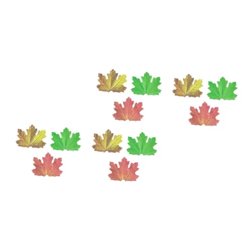 Abaodam 12 t ?^? JԂg_ڒ wZ I 