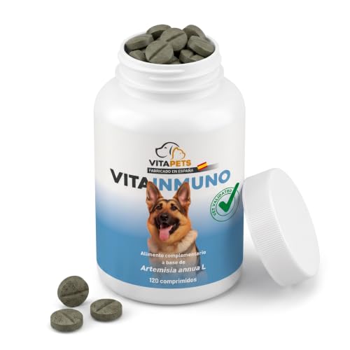 Vitapets VitaInmuno Refuerzo Inmunitario para Perros | Defensas Naturales | Artemisia Annua 500mg | Frente a Parásitos Externos | 100% Natural Sin Cereales | 120 Comprimidos