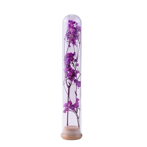 ガラスの試験管に入れられたドライフラワーブーケ、植物標本、願い事の花瓶、装飾品、絶妙な贈り物3.5 * 22cm