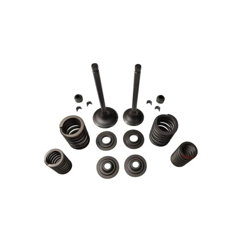 Kit de juntas de válvulas de admisión y escape culata motor 350