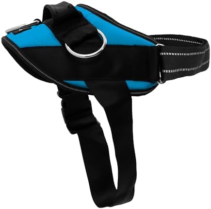 ShawnCo Essential Dog Harness, No-Pull Pet Vest with 3 Leash Clips, No Choke, Reflective, Adjustable and Padded, for Easy Walking and Training for Small, Medium and Large Dogs (Oceanic Blue, Medium)