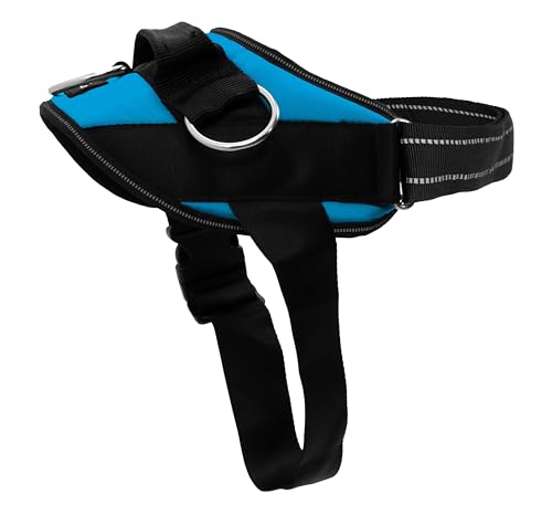 ShawnCo Essential Dog Harness, No-Pull Pet Vest with 3 Leash Clips, No Choke, Reflective, Adjustable and Padded, for Easy Walking and Training for Small, Medium and Large Dogs (Oceanic Blue, S)