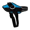 ShawnCo Essential Dog Harness, No-Pull Pet Vest with 3 Leash Clips, No Choke, Reflective, Adjustable and Padded, for Easy Walking and Training for Small, Medium and Large Dogs (Oceanic Blue, S)