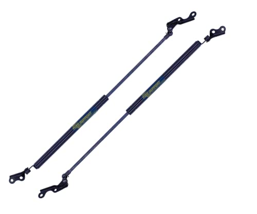 2 Pieces (Set) Rear Hatch Lift Supports 1999 To 2005 Toyota Echo, 1999 To 2005 Toyota Yaris, 1999 To 2005 Toyota Vitz