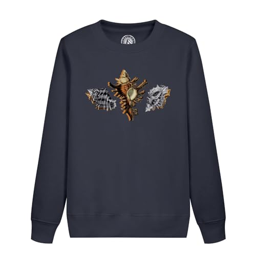 Sweatshirt enfant 3 coquillages antiques illustration de biologie marine en coton