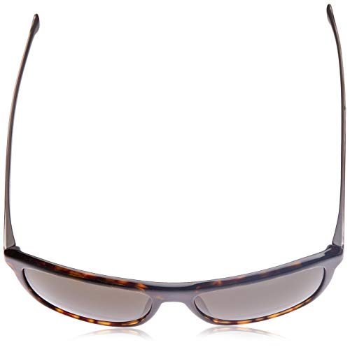 Sunglasses Boss Black Boss 874 /S 0P0I Dark Havana / NR brown gray lens4