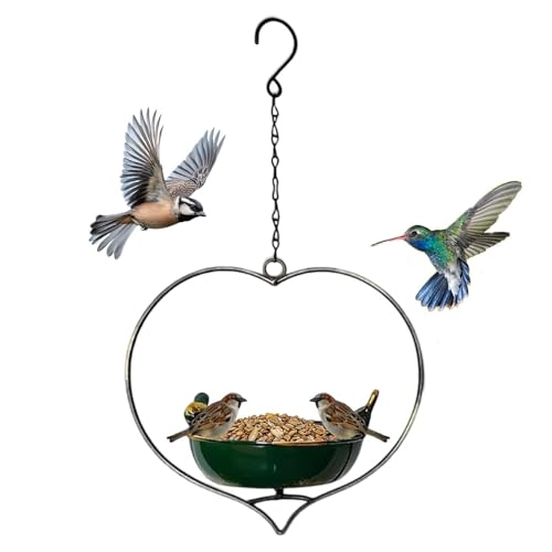 Mangeoire pour oiseaux extérieur en fer pour petits oiseaux - 2