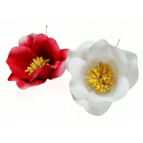 miov`|ahn{A[eBtBVt[/ւ̑/EԔ,/p/t[AWgEߓEΉ,/C[t/2{Zbg