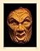 Realistic Pumpkin Carving: 24 Spooky, Scary, and Spine-Chilling Designs (Fox Chapel Publishing) Easy-to-Learn Techniques for Creating Expressive 3D Personalities in Pumpkins, Gourds, Squash, and More
