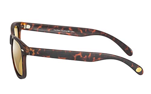 Eagle Eyes Charlie Polarized Sunglasses - Tortoise3