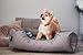 BedDog Hundebett L - Hundekissen - Hundekorb - Hundecouch - Hundesofa - Bezug abziehbar, Waschbar, für Mittel-Kleine Hunde
