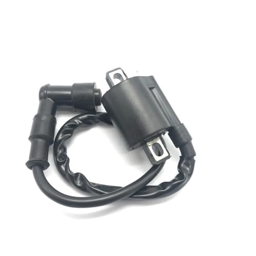 Bobina de encendido para scooter 125cc y motores ATV de 200cc o 250cc 5