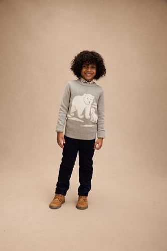 Image of Gymboree Boys' and Toddler Long Sleeve Embroidered Crew Neck Pullover Sweater