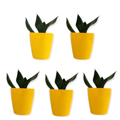 VINAYAKAMART Planter Pot for Indoor Plants (6.5 inch) Yellow- 5 Pieces (B09HXJJFLP) Amazon Price History, Amazon Price Tracker