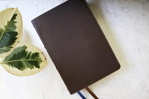 NIV Study Bible Calfskin Brown