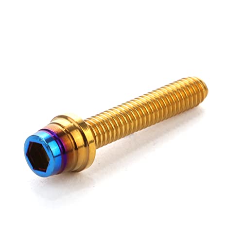 �L���b�v�{���g M4×20mm �e�[�p�[�V�F���w�b�h �J�X�^���{���g �f�U�C�� �w�b�h �X�e�����X�� �S�[���h&�`�^���J���[ 2�{�Z�b�g