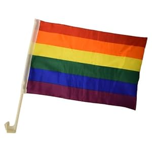 Nw Nationwear Regenbogenflagge Autoflagge 2er-Pack