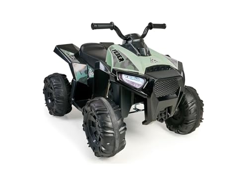 Quad Boxer 12 V (Lithium)