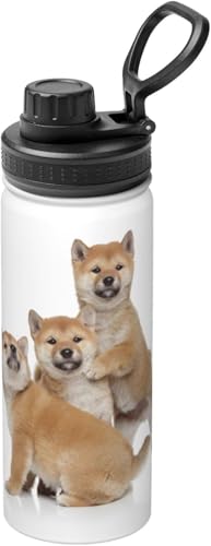 Č q   ^fM ۉ ۗ X|[c{g XeX{g X|[cΉ RȂ 530ml lC v[g