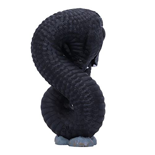 Collection Nemesis Now Nemesis Now - Drakaina Et Dragonling 23cm - Résine Peinte à La Main Figurine Dragon